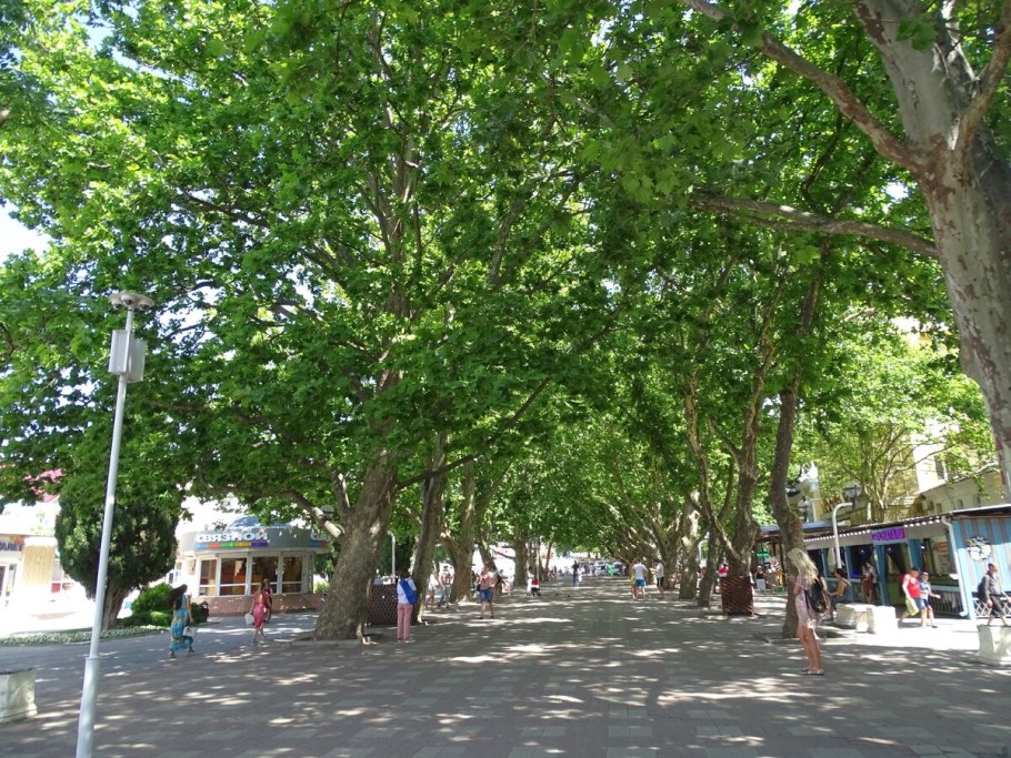 Платановая в Туапсе