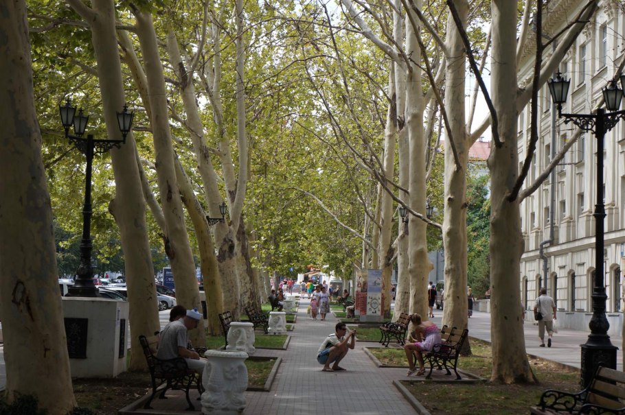 Туапсе Платановая роща