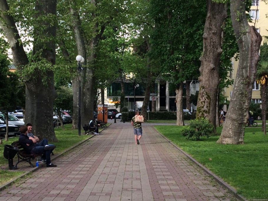 Платановая аллея Сочи