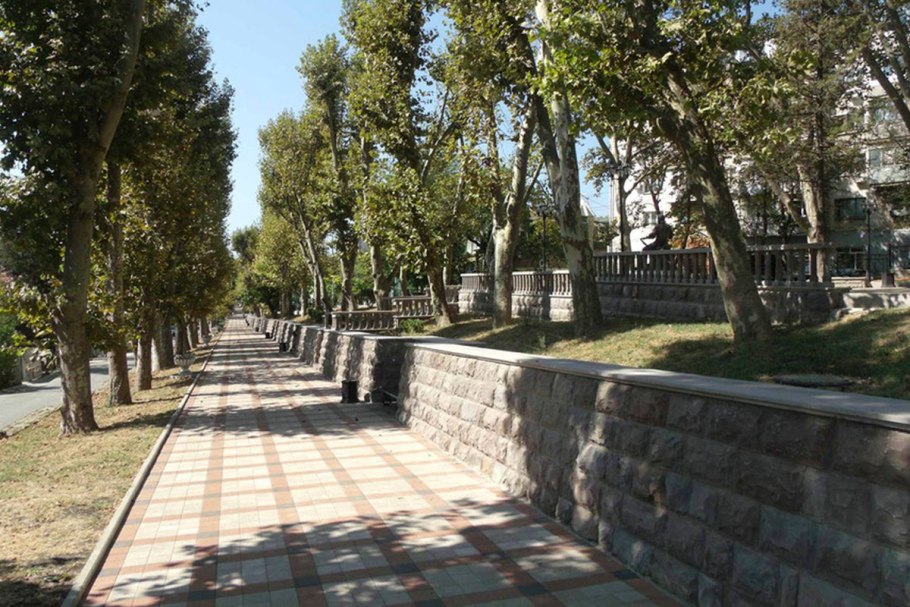 Платан туапсе