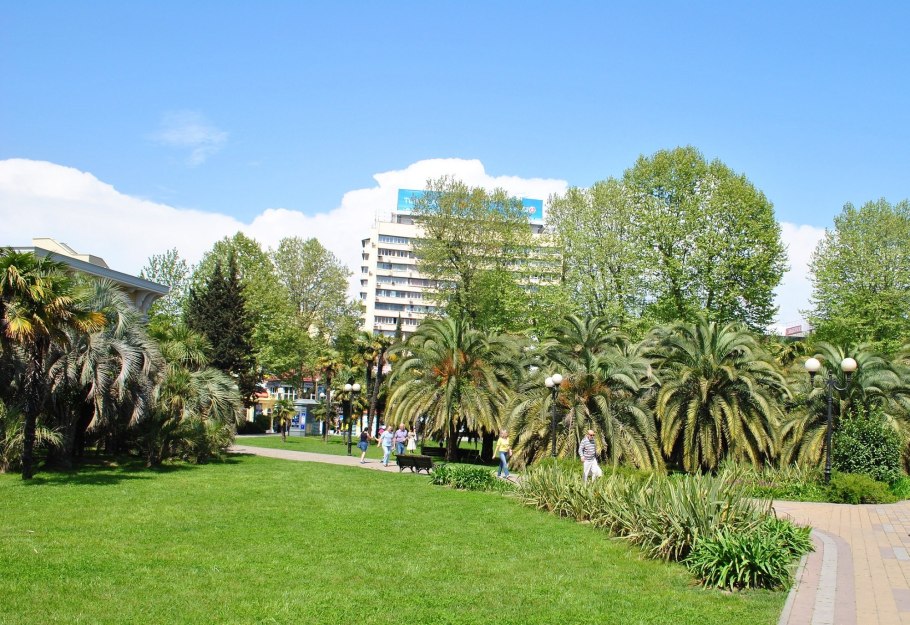 Платановая аллея г. Туапсе