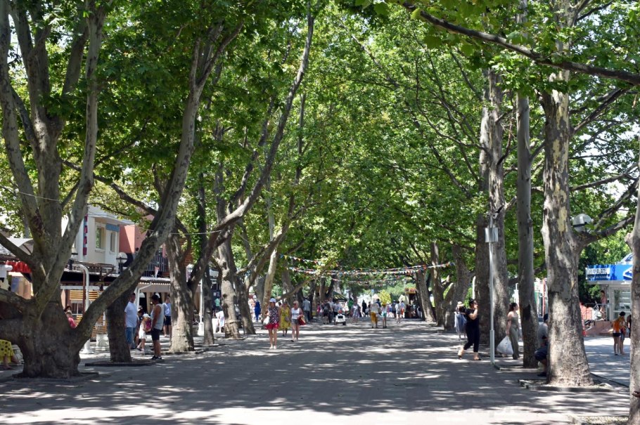 Платановая аллея Сочи