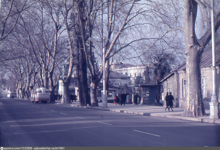 Платановая аллея сочи