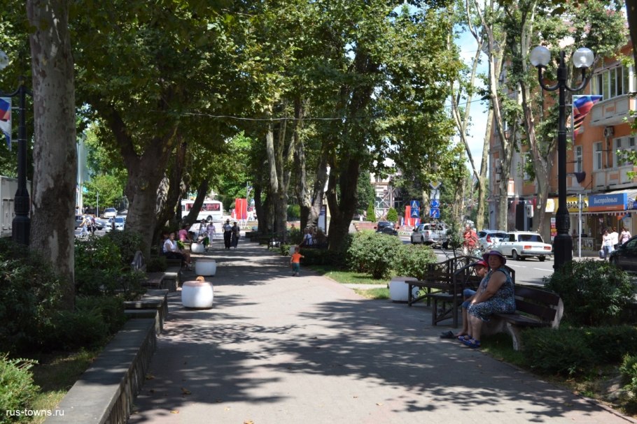 Пр. Курортный, Платановая аллея