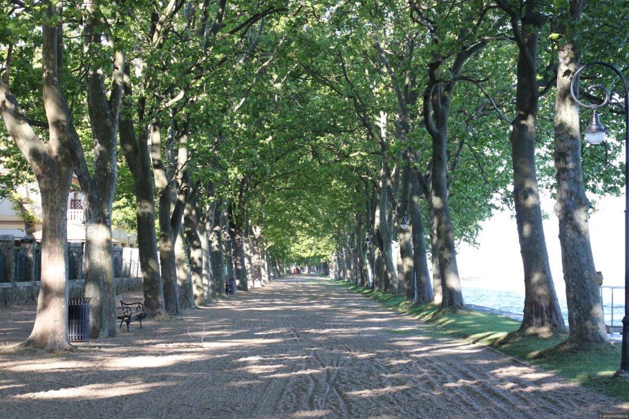 Платановая аллея Геленджик