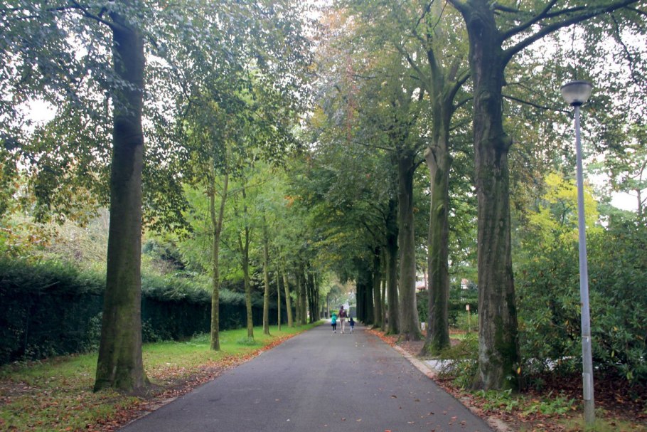 Геленджик аллея