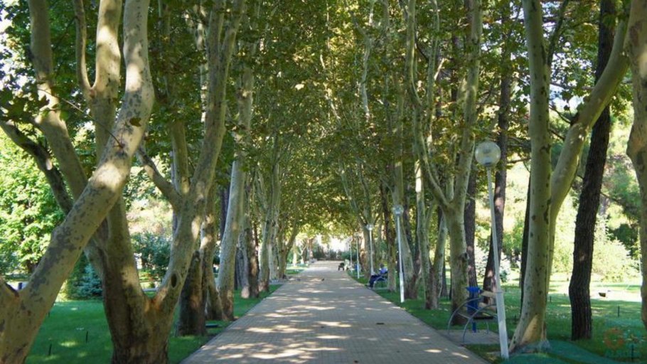 Геленджик аллея