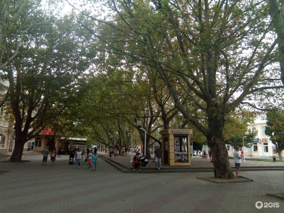Платановая аллея Севастополь