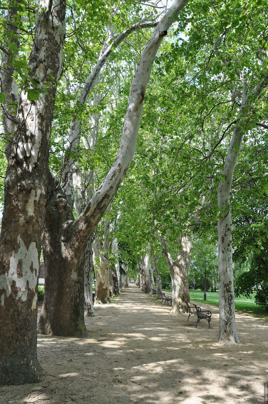 Аллея героев в Феодосии