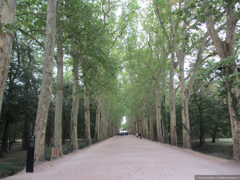 Платановая аллея в Сочи фото 1985 году