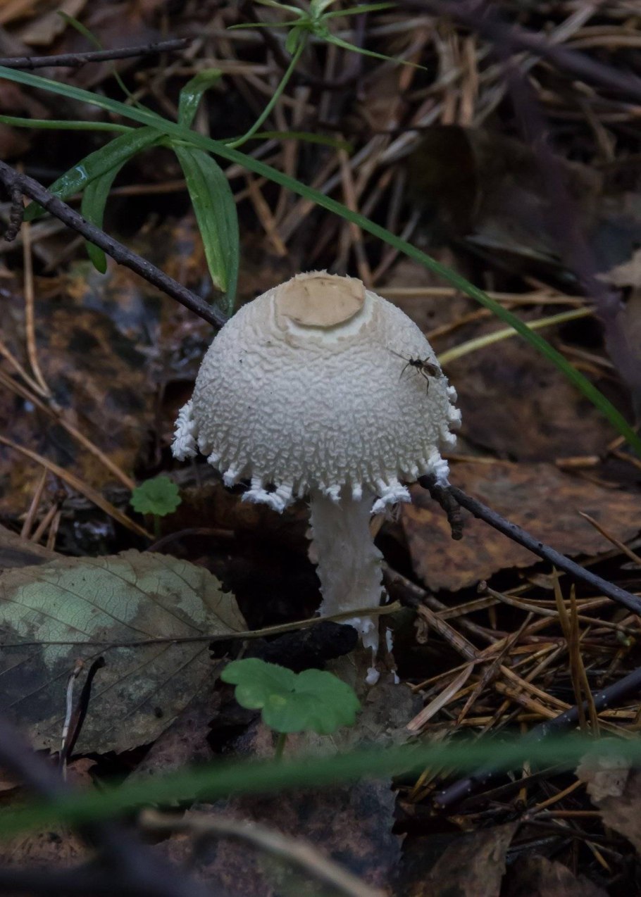 Шершавая поверхность