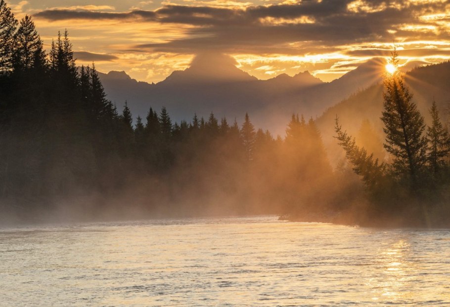 Рассвет в тайге