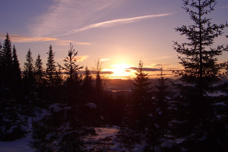 Рассвет в тайге