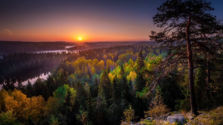 Закат в лесу