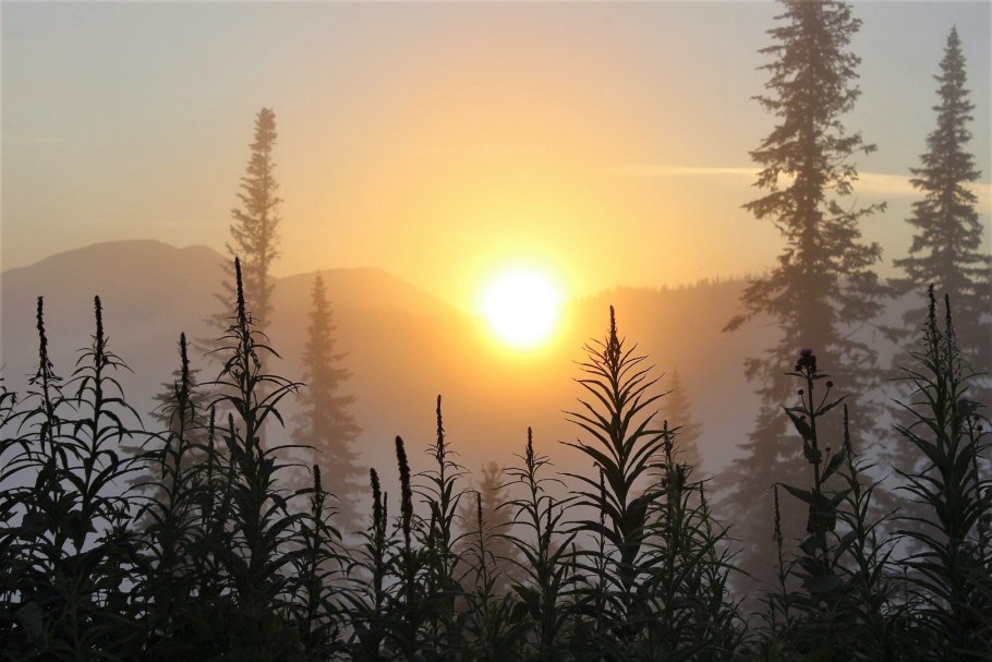 Кузнецкий Алатау рассвет в горах