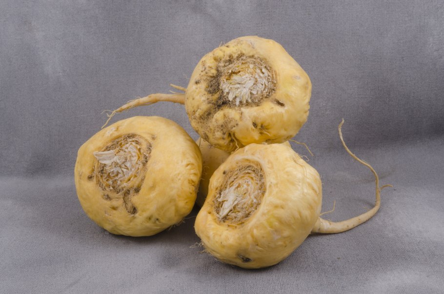 Корень маки перуанской