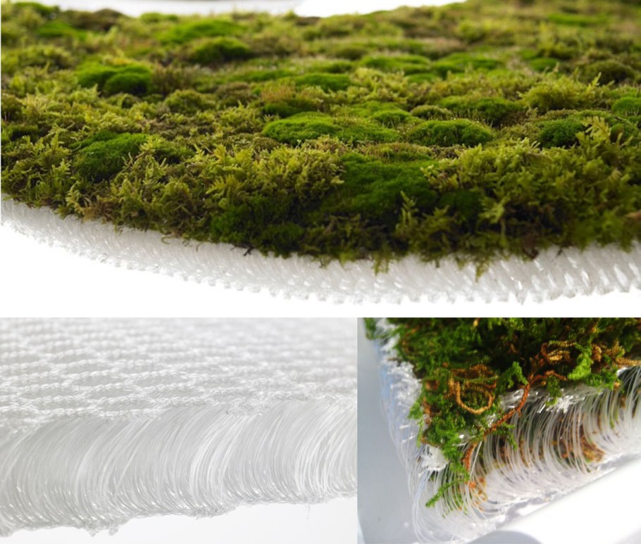 Обои на рабочий стол макро природа мох