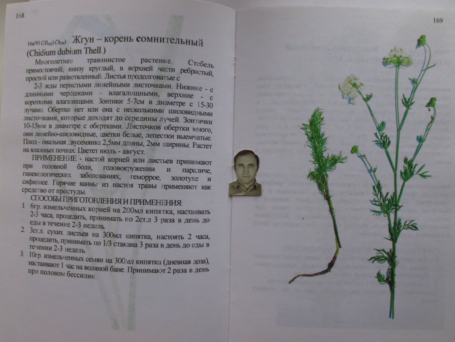 Аллиум multibulbosum