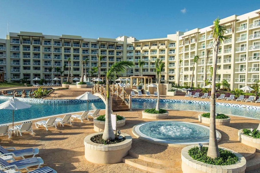 Мелия иранская растение