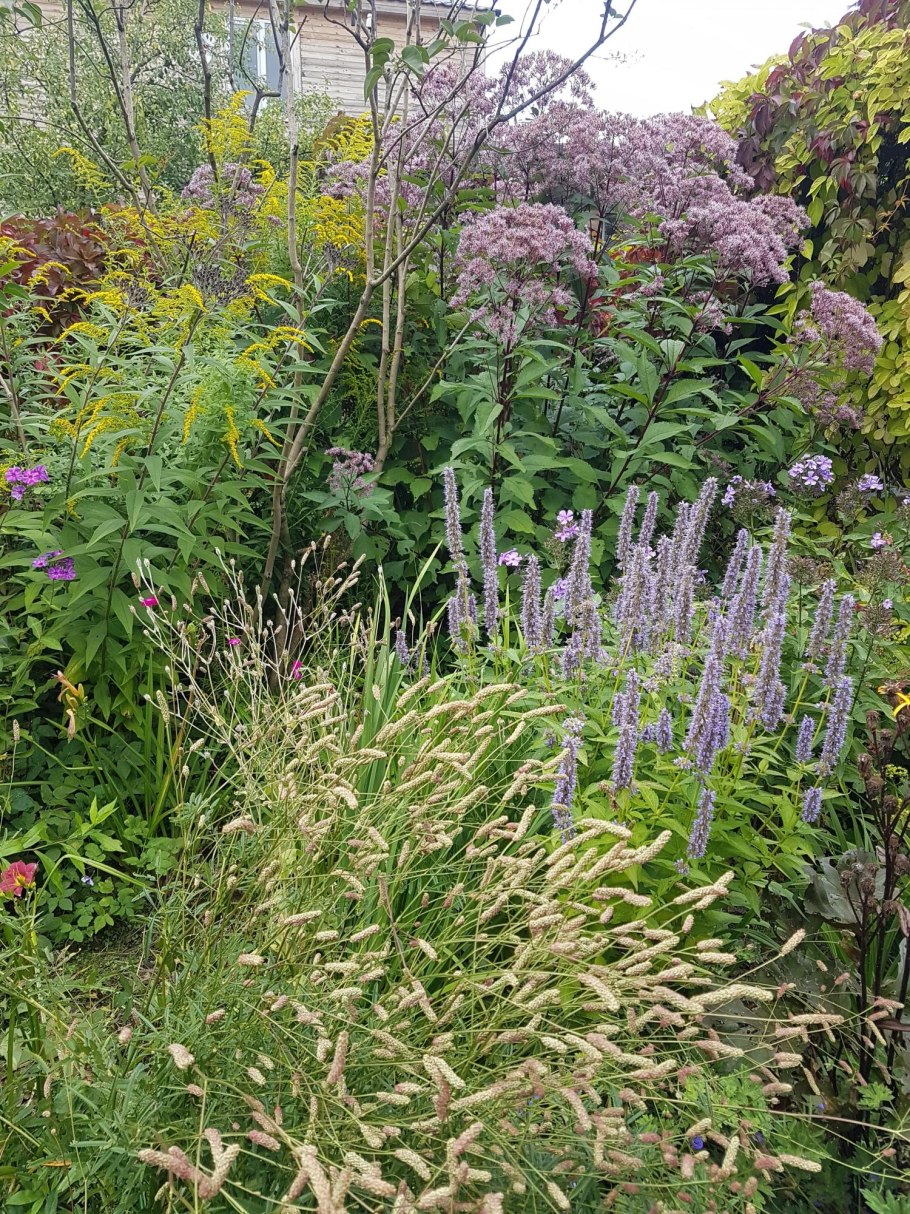 Модные блоггеры