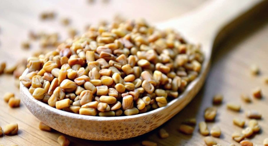 Пажитник (Шамбала)