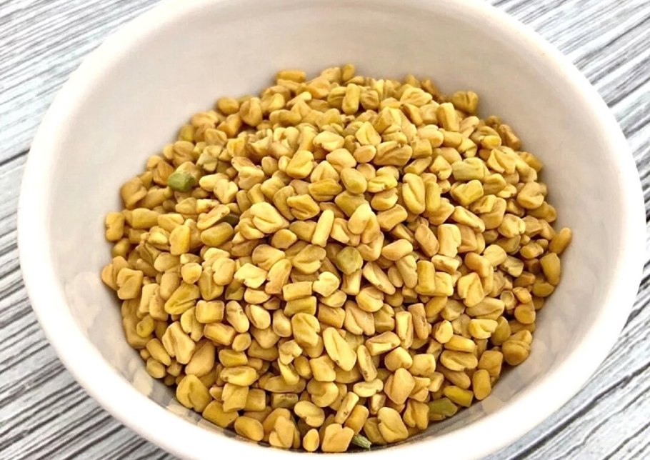 Чаман пажитник Шамбала