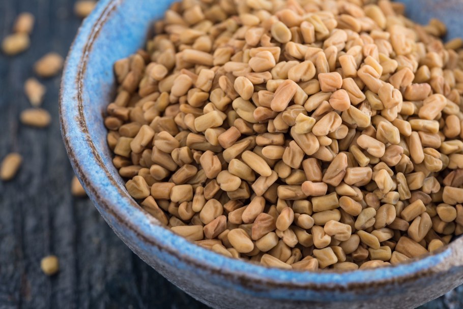 Пажитник Сенной семена