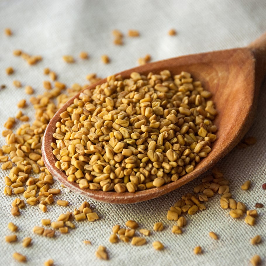 Чаман (пажитник Сенной