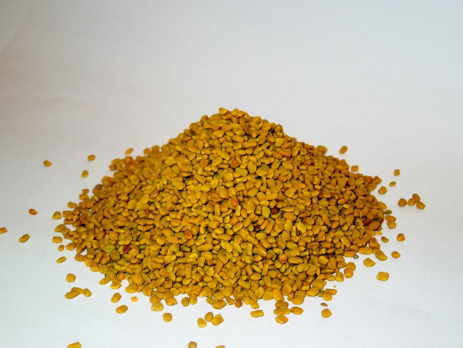 Пажитник Сенной Шамбала