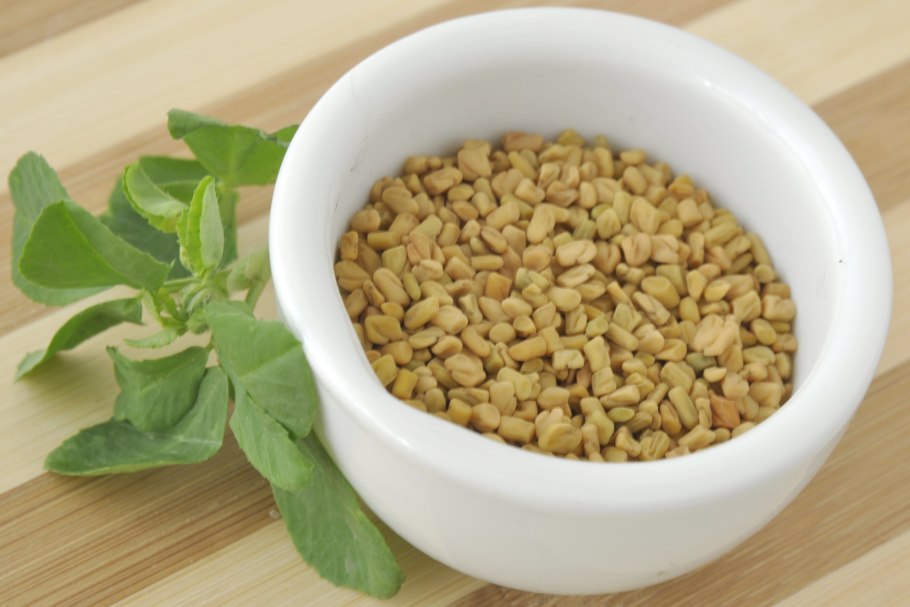 Пажитник голубой (фенугрек, Шамбала, чаман)