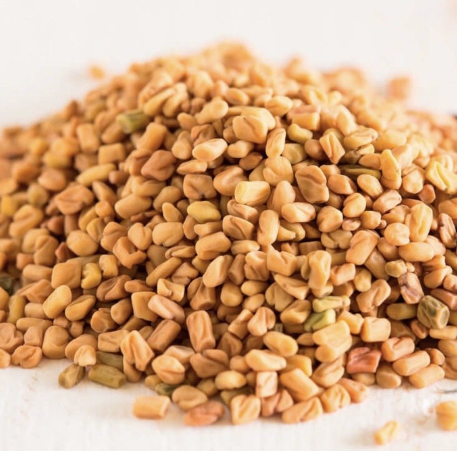 Пажитник Шамбала растение