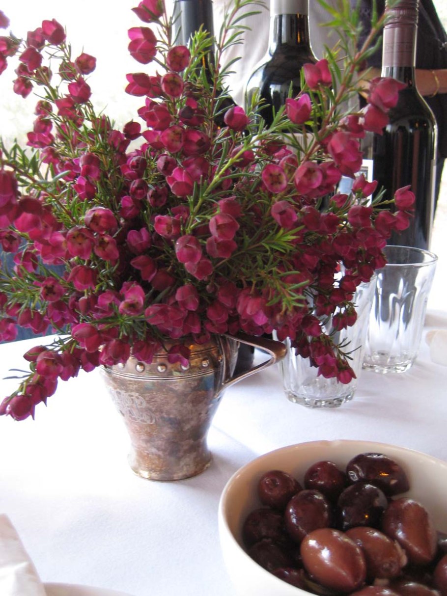 Борония . Boronia