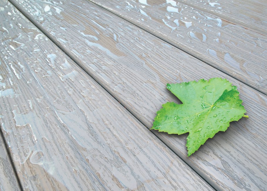 Дуб черешчатый осенью лист