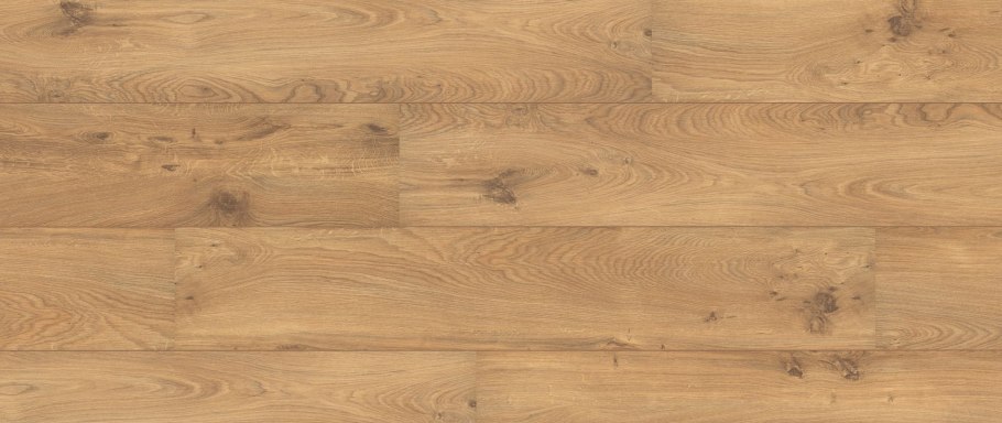 Листья молодого дуба