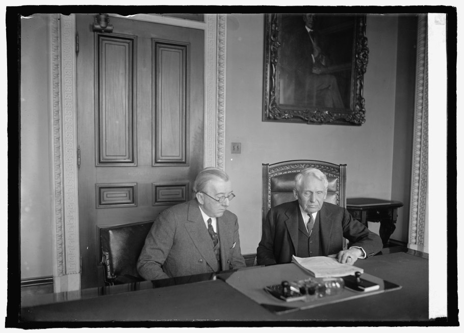 Дуб черешчатый лист