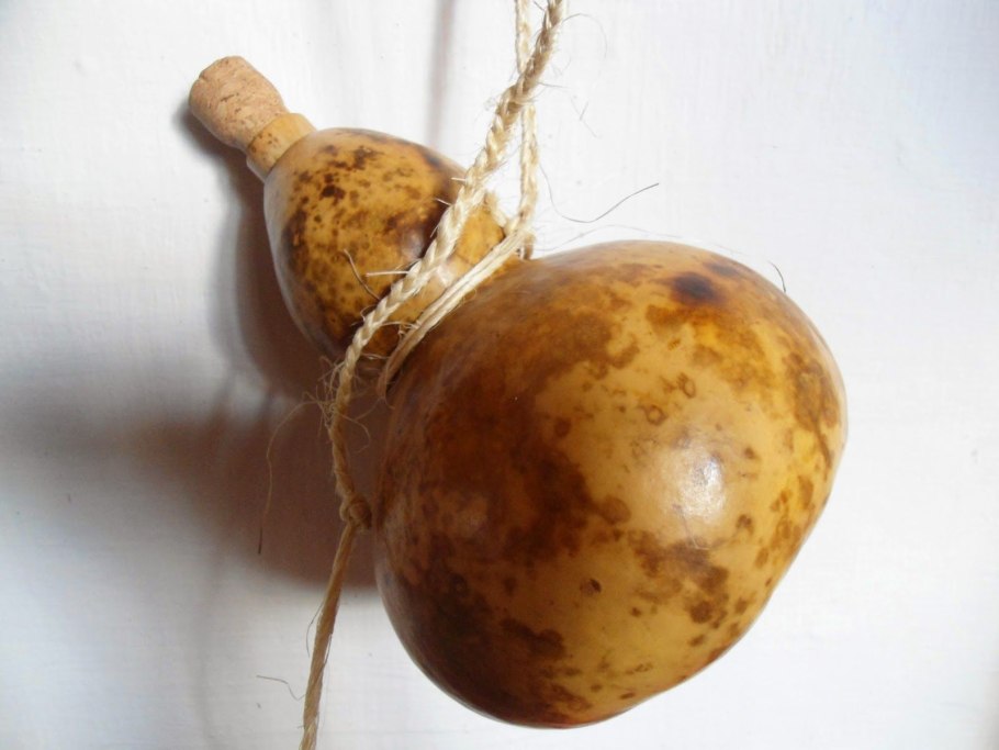 Лагенария Гусь в яблоках