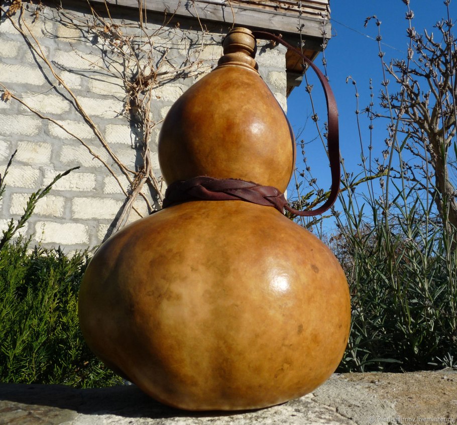 Тыква горлянка - лагенария