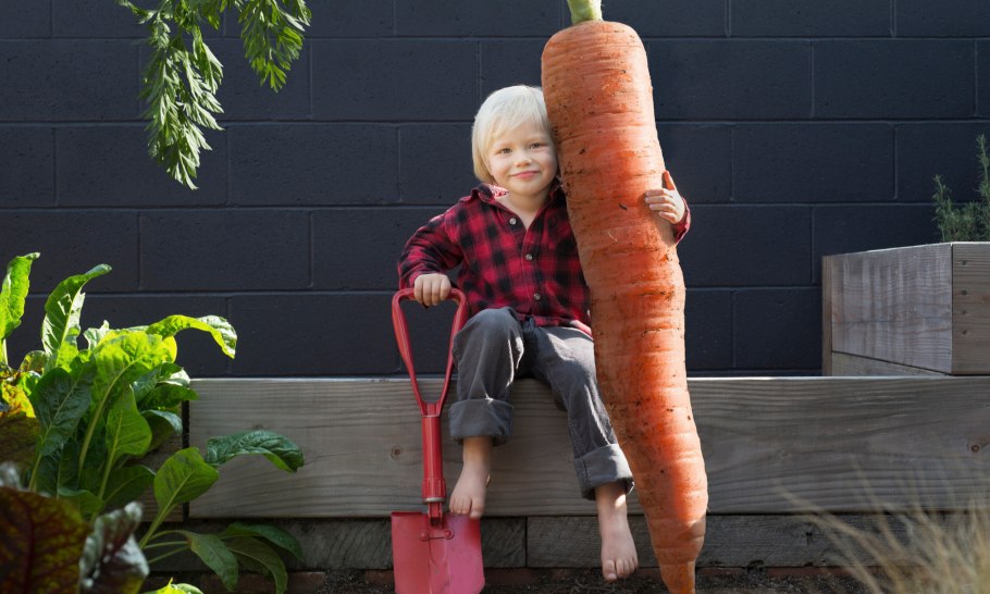Лук склонённый