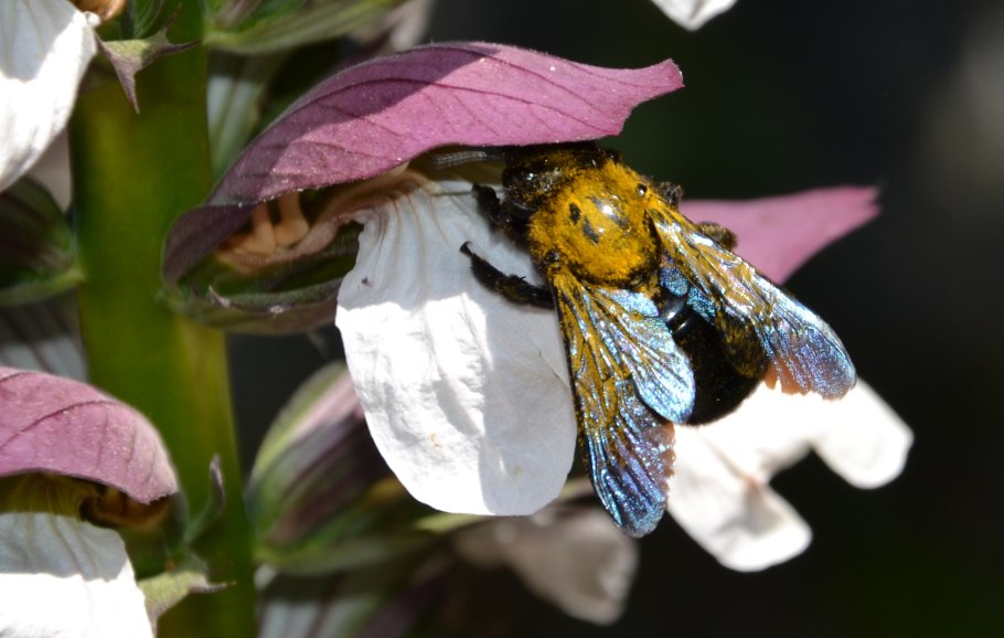 Айгельдина Анна Александровна