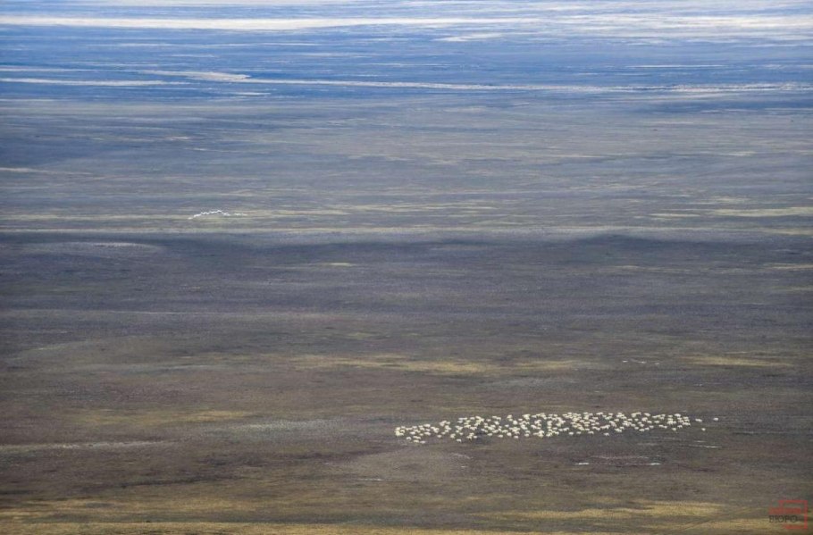 Плато Путорана Килиманджаро