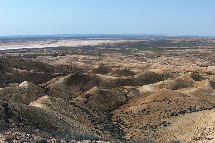 Амангельды Иманов картина