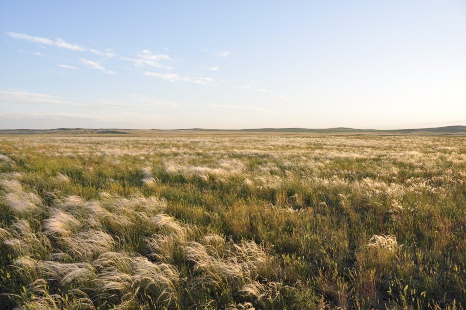 Чинки Устюрта