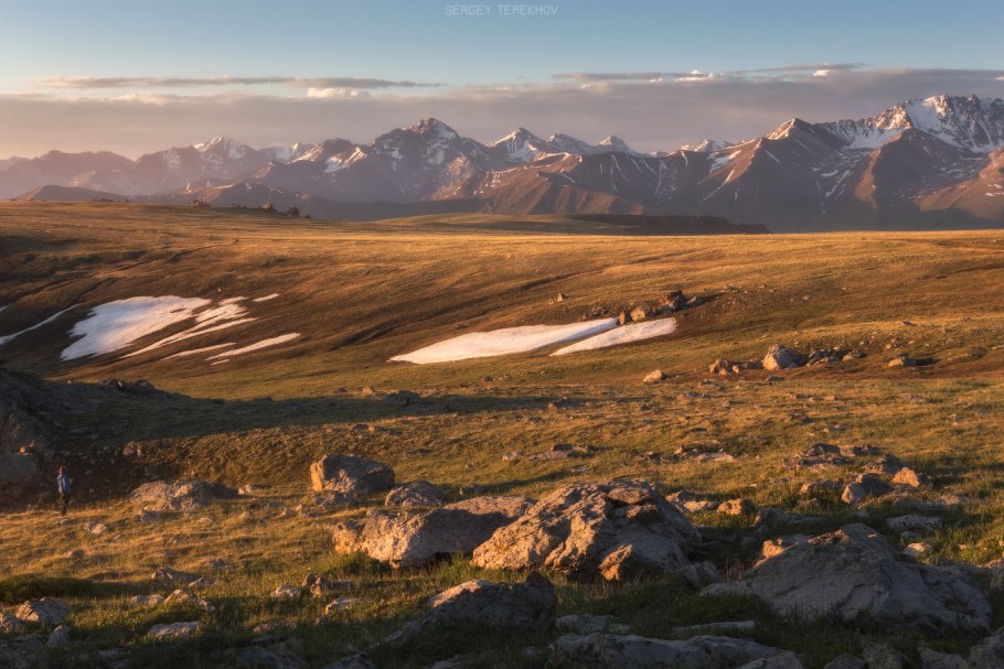 Иргиз Тургайский заповедник сайгаки