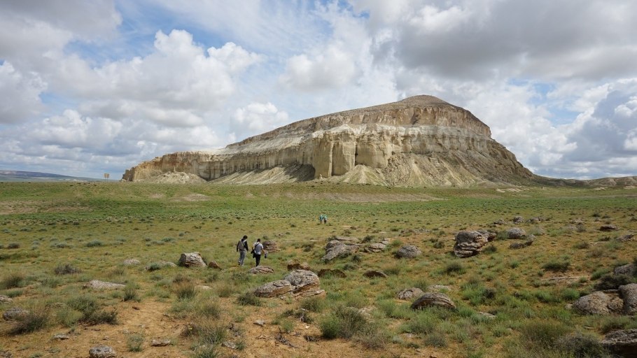 Барабинская степь