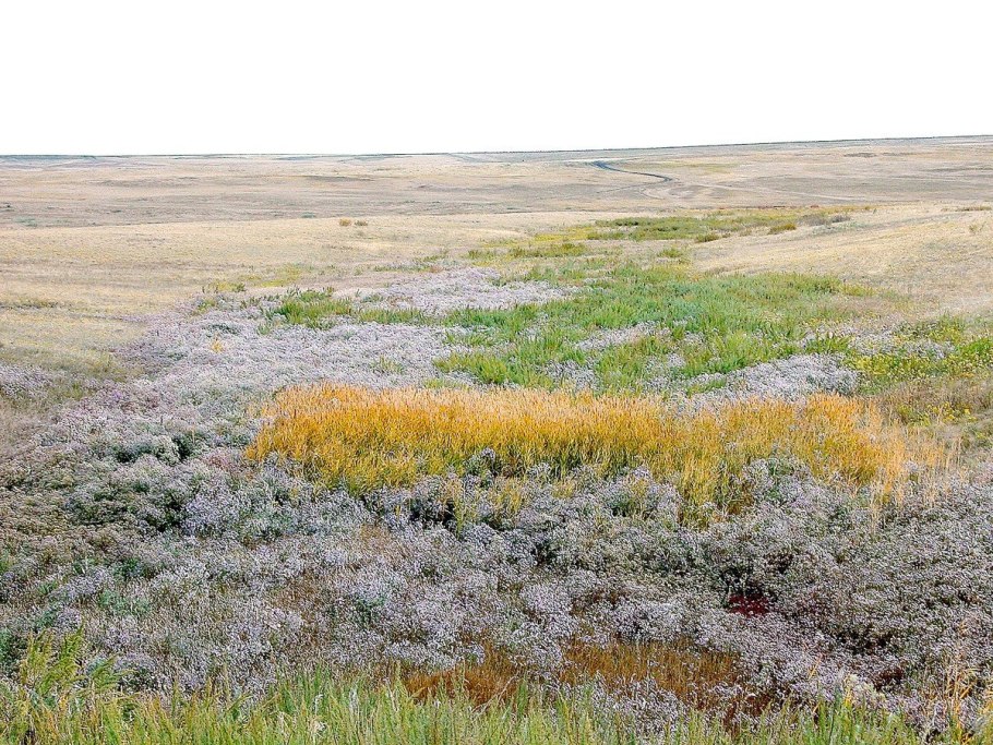 Ногайская степь