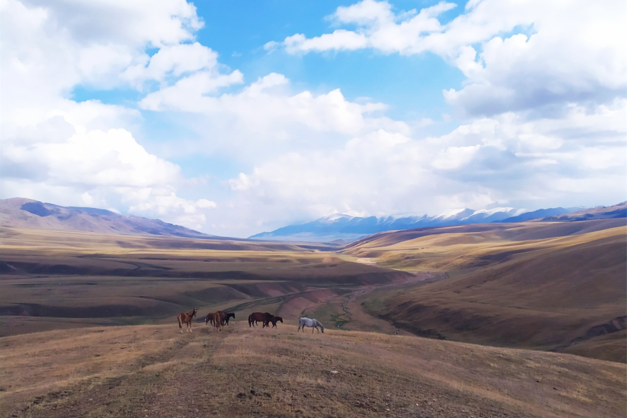 Тургайское плато