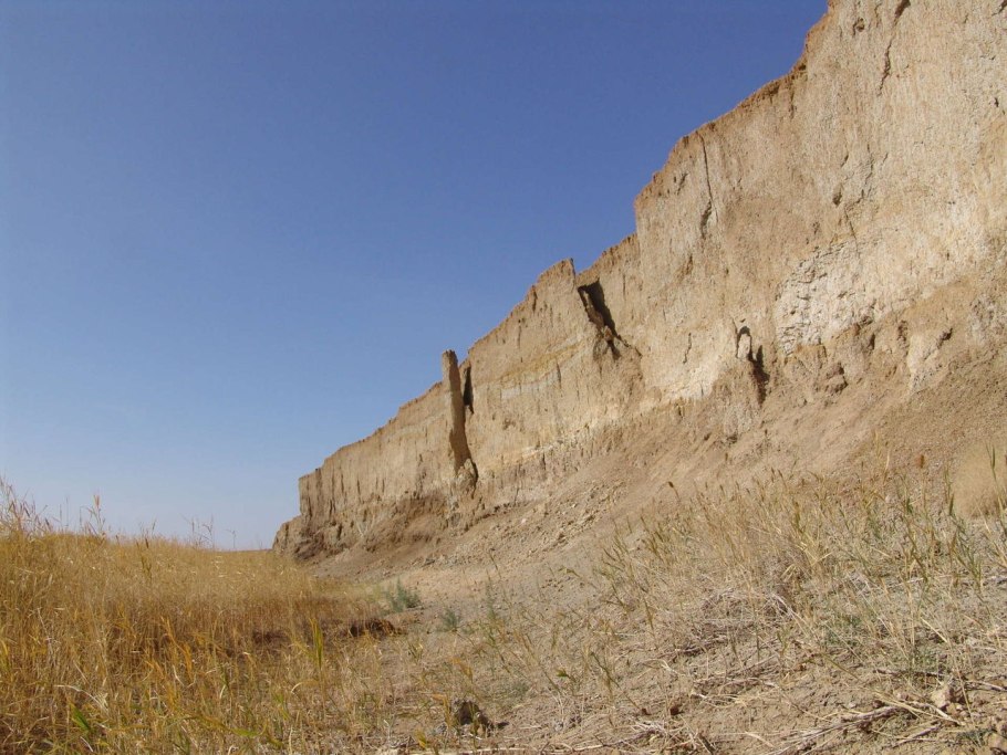 Силпи Тургай