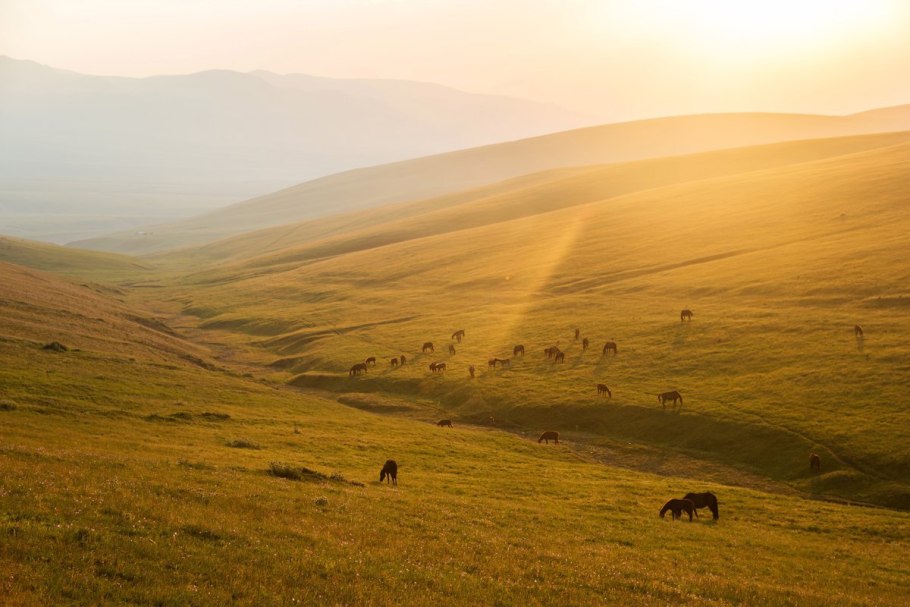 Северный Казахстан природа