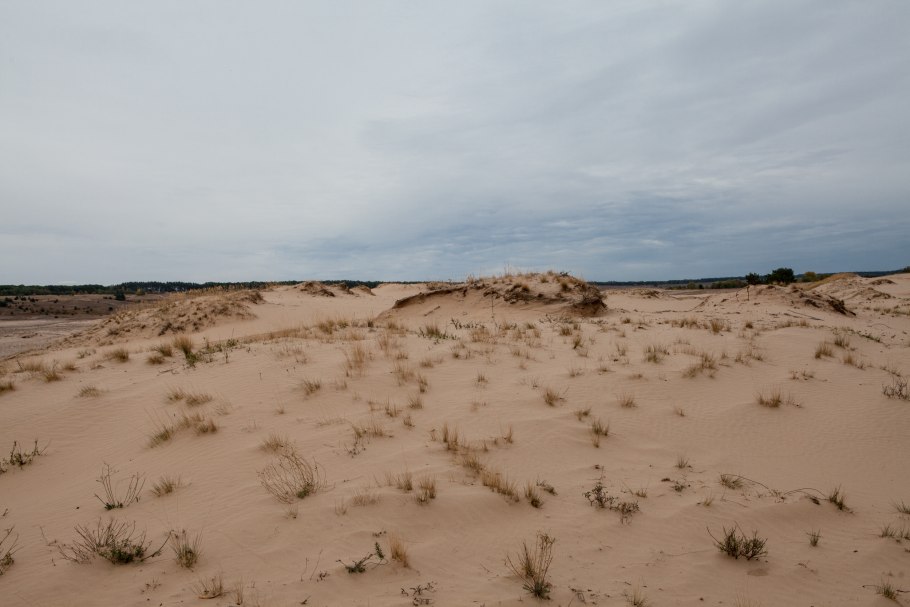 Казахстан Тургайское плато.