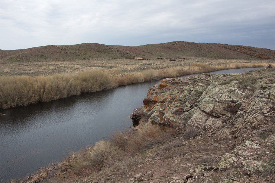 Тургайская степь